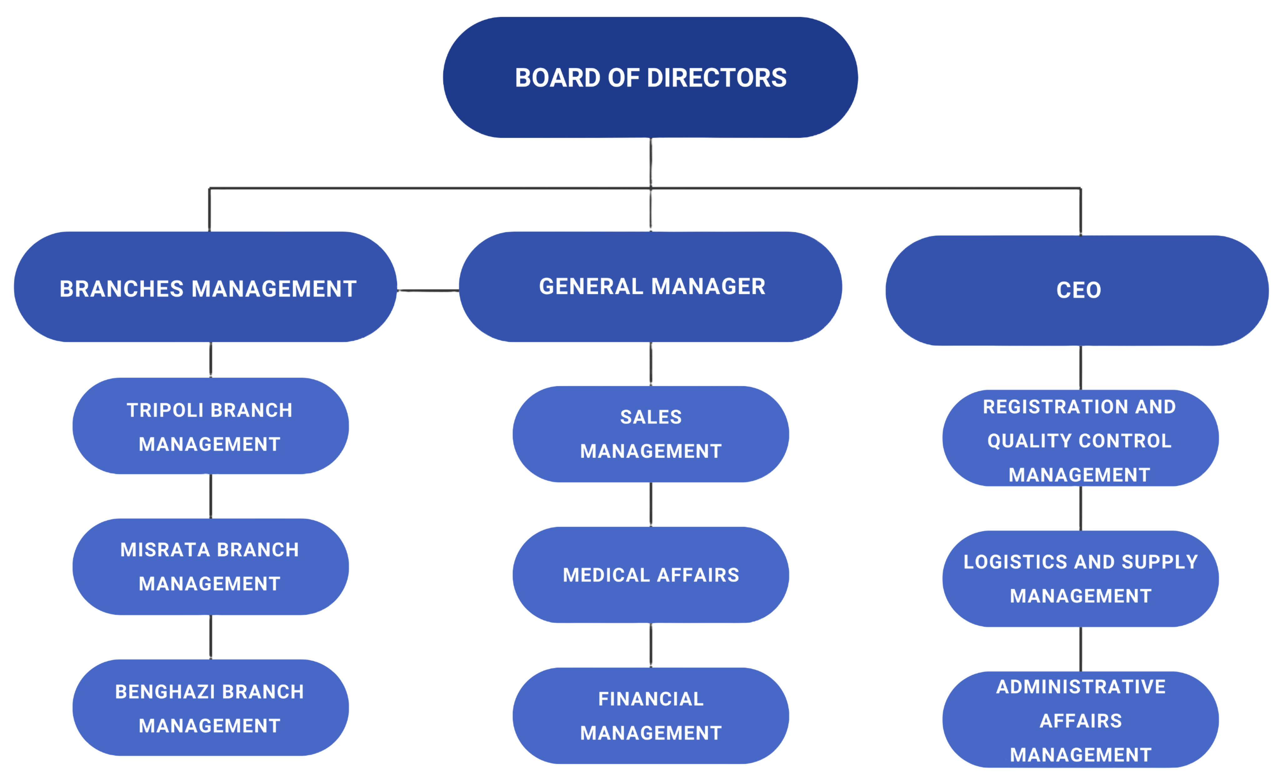 Albasma Organization Chart